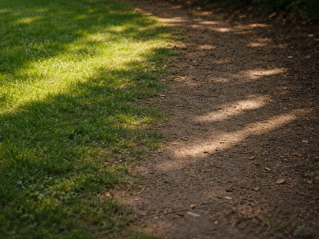 Tuinplek met schaduw die langer valt; zonlichtinval weergegeven zonder tekst of grafieken.