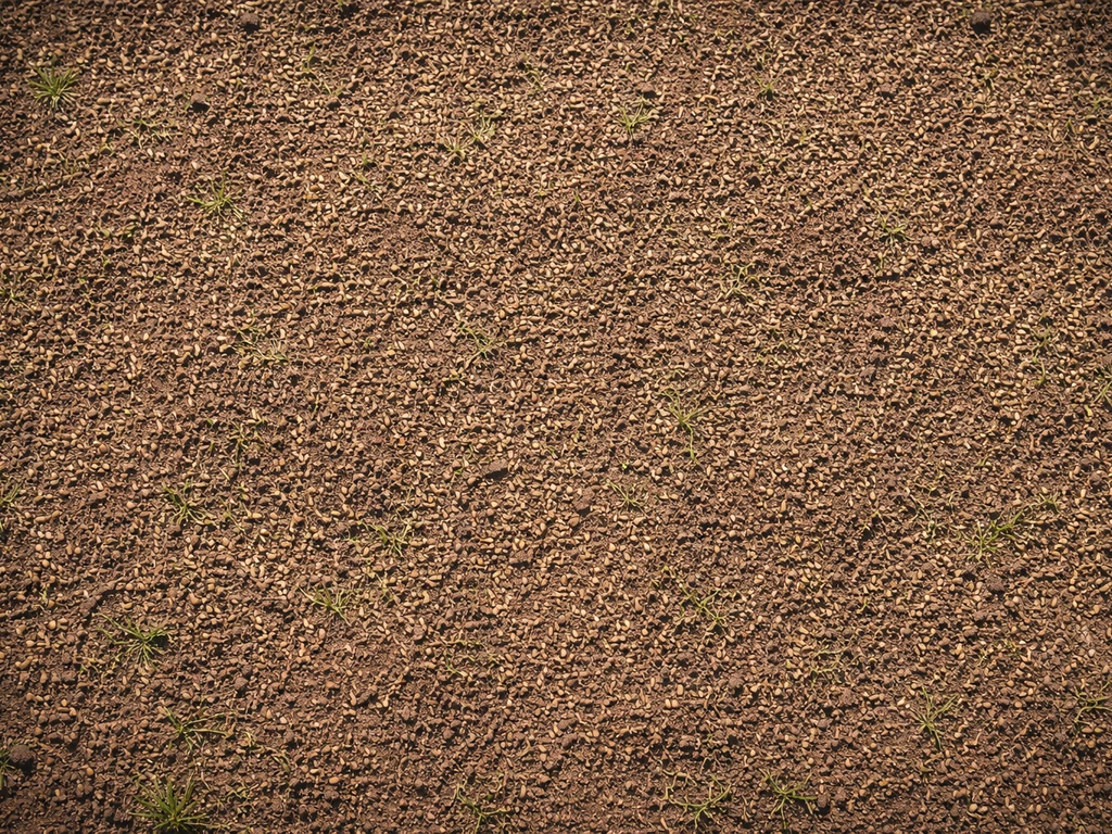 Gras zaaien: water geven wanneer en hoe vaak, stap voor stap